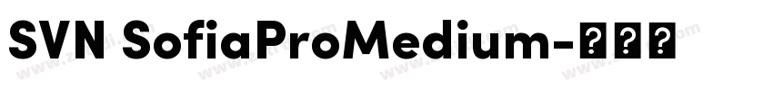 SVN SofiaProMedium字体转换